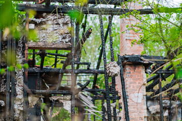 Charred Remains of a Burnt Building Surrounded by Lush Greenery Depicting the Contrast Between...
