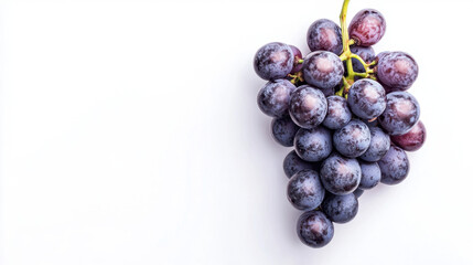 A cluster of ripe purple grapes on a white background, showcasing their vibrant color and fresh appearance.
