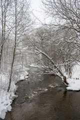 River in a winter.