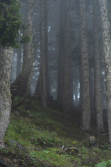 These photos, offering both the serenity and magic of nature