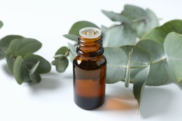 Eucalyptus essential oil in a glass bottle with green eucalyptus leaves on a wooden background. Aromatherapy concept. Spa. Natural organic ingredients for cosmetics and body care. © Sunlight