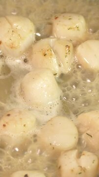 saint-jacques et bouillon, en gros plan, en cuisson dans une po&ecirc;le