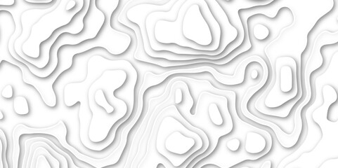 Abstract wavy line paper cut white background. Topographic geometric map relief texture with curved layers and shadow. Abstract soft white background with waves, textured, Papercut, background