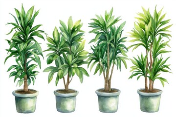 A watercolor illustration of four potted plants showcasing different green foliage.