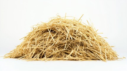 Side view of dry straw forming a single hay pile, natural texture standing out on a bright white surface.