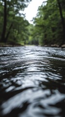 Fototapeta premium A serene river scene surrounded by lush greenery, capturing the tranquility of nature.