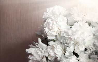 Big white aromatic peony flowers