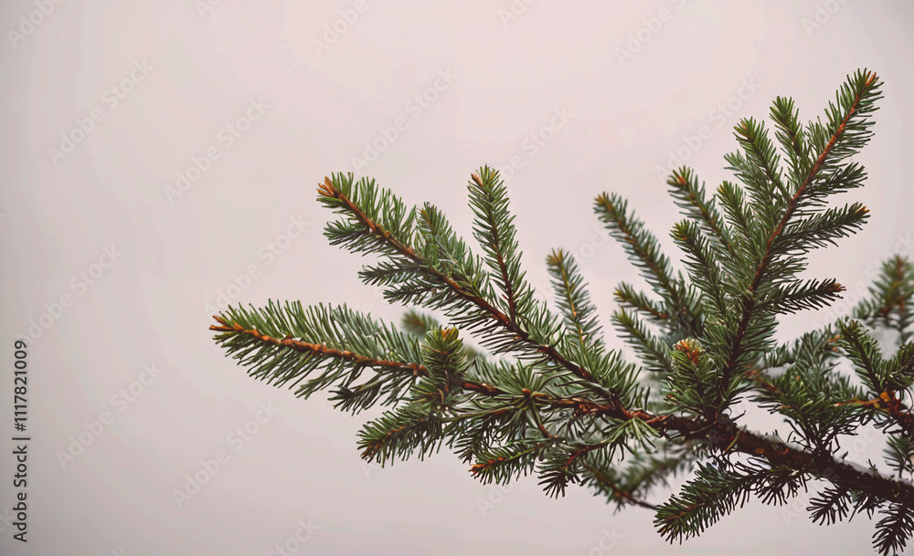 Poster a tree branch with green leaves and a brown tip. the branch is leaning to the right