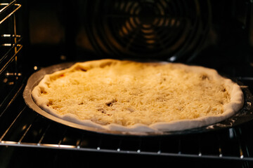 baking making pizza with cheese in an electric oven