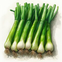 A bunch of fresh green onions arranged neatly.