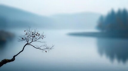 Serene landscape featuring a lone tree by a tranquil, misty lake.