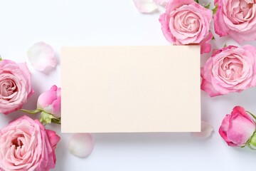 Beautiful composition with pink roses on white background 