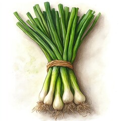A bundle of fresh green onions tied together, showcasing their vibrant green stalks and roots.