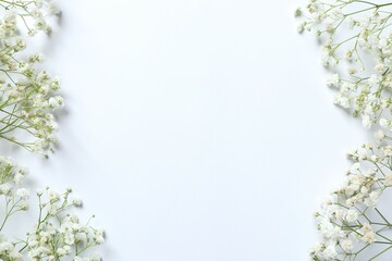 Obraz premium Top view photo with gypsophila flowers on white background 