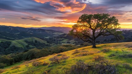 Dramatic sunset over rolling hills silhouetted trees at tranquil landscape fiery orange and purple skies