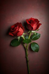Fototapeta premium red rose on a wooden background