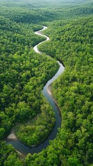 Serpentine River in Lush Forest: An aerial view captures a meandering river snaking its way through a dense, vibrant green forest, creating a stunning natural landscape. 