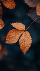 Autumnal Whispers: A close-up photograph captures the intricate beauty of autumnal leaves, revealing the rich textures and warm colors of the season. The leaves, a testament to nature's artistry.