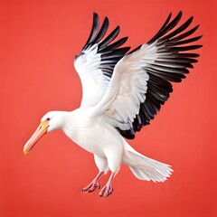 Obraz premium beautiful animal in a studio isolated wild life