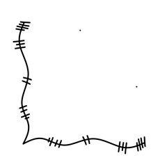 Separators and text dividers. Hand drawn floral and herbal elements