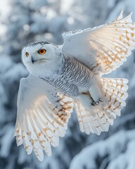 Majestic Snowy Owl in Flight Stunning Winter Wildlife Photography of a Snowy Owl with Wings Spread Wide in a Snowy Forest.