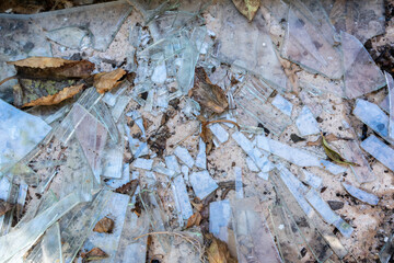 Shards of broken glass on concrete among dry leaves and earth. Shards of a broken window. House destruction.