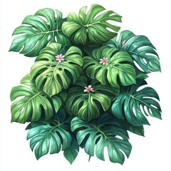 Lush Tropical Monstera Deliciosa Plant with Delicate Pink Flowers - Vibrant Green Foliage Illustration