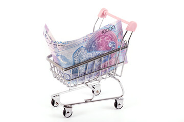 New design 10,000 Kazakhstan tenge banknote in a miniature shopping cart from a supermarket on a...