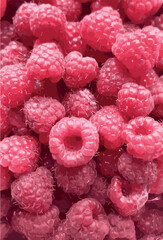 Background of raspberries, texture of ripe raspberries. Vector.