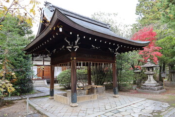 A Japanese shrine : a scene of the precincts of Goryo-jinjya Shrine in Kyoto City