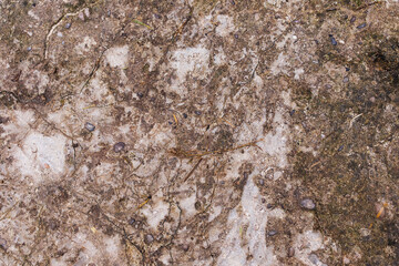 stone wall texture