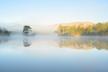 Calm reflections in lake with trees on a fresh summer morning at Tarn Hows in The Lake District, UK.
