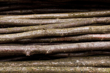 close up of a bark
