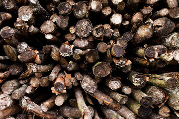 close up of a pile of peppercorns