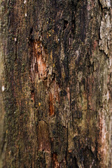 texture