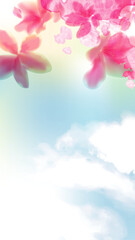 美しい桜の背景イラスト
