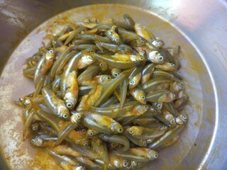 Haldi namak ka mishran kiya hua  choti machli,fresh pond small fish of steel pot,Lots of small fish...