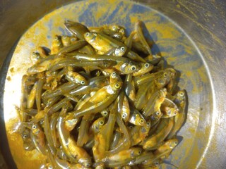 Fototapeta premium Haldi namak ka mishran kiya hua choti machli,fresh pond small fish of steel pot,Lots of small fish in steel pot