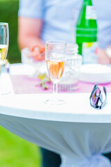 Elegant Outdoor Gathering With Champagne Glasses on a Decorated Table - A Refreshing Celebration Vibe Featuring Sunglasses, Sparkling Drinks, and a Vibrant Atmosphere in a Sunny Garden Setting