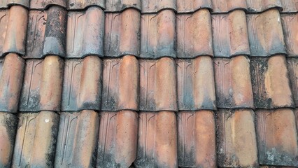 A detailed close-up view of weathered clay roof tiles, showcasing their aged texture, earthy tones, and natural patterns formed over time.