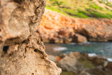 Close-Up of Rock Formations with Blurred Coastal Background Capturing Natural Beauty and Rugged Texture in a Serene Landscape Scene with Warm Tones and Lush Greenery