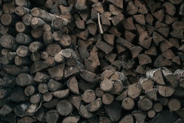 Stacked firewood in the forest