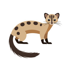 Flat Vector Civet Illustration, Cartoon Design with Light Brown Body and Bushy Tail, Clean Minimalist Style