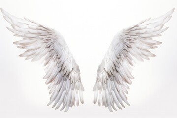 Obraz premium A serene pair of angel wings with a subtle iridescent sheen, appearing almost luminescent. The wings are beautifully symmetrical, embodying purity and peace