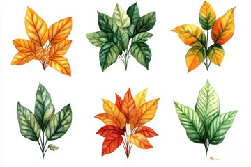 A collection of illustrated leaves in various colors and styles.
