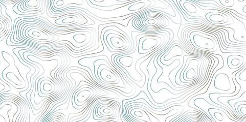 Abstract topographic map background. Topographic map lines contour background. 
