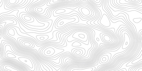 Abstract topographic map background. Topographic map lines contour background. 
