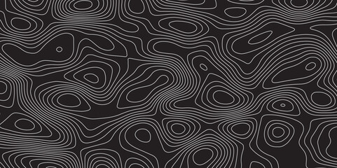 Abstract topographic map background. Topographic map lines contour background. 
