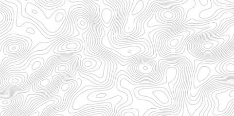 Abstract topographic map background. Topographic map lines contour background. 
