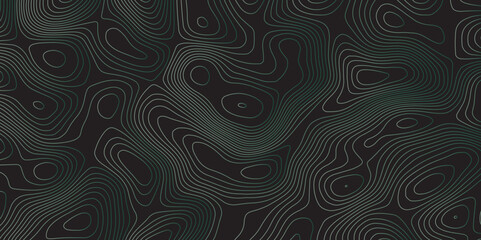 Abstract topographic map background. Topographic map lines contour background. 
